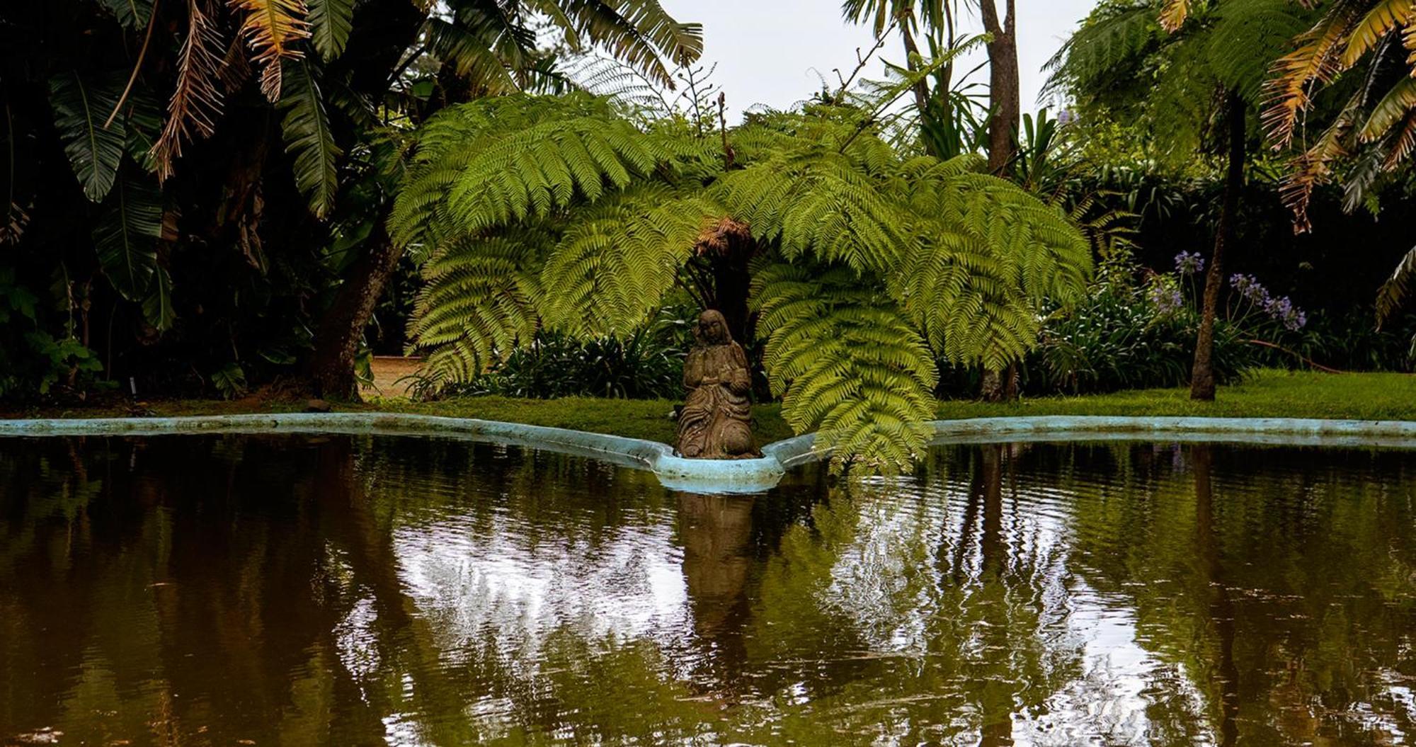 Quinta Da Nasce Agua Aparthotel Angra do Heroísmo Екстериор снимка